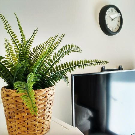 Beautiful Studio On Jerusalem Boulevard Tel Aviv Ngoại thất bức ảnh