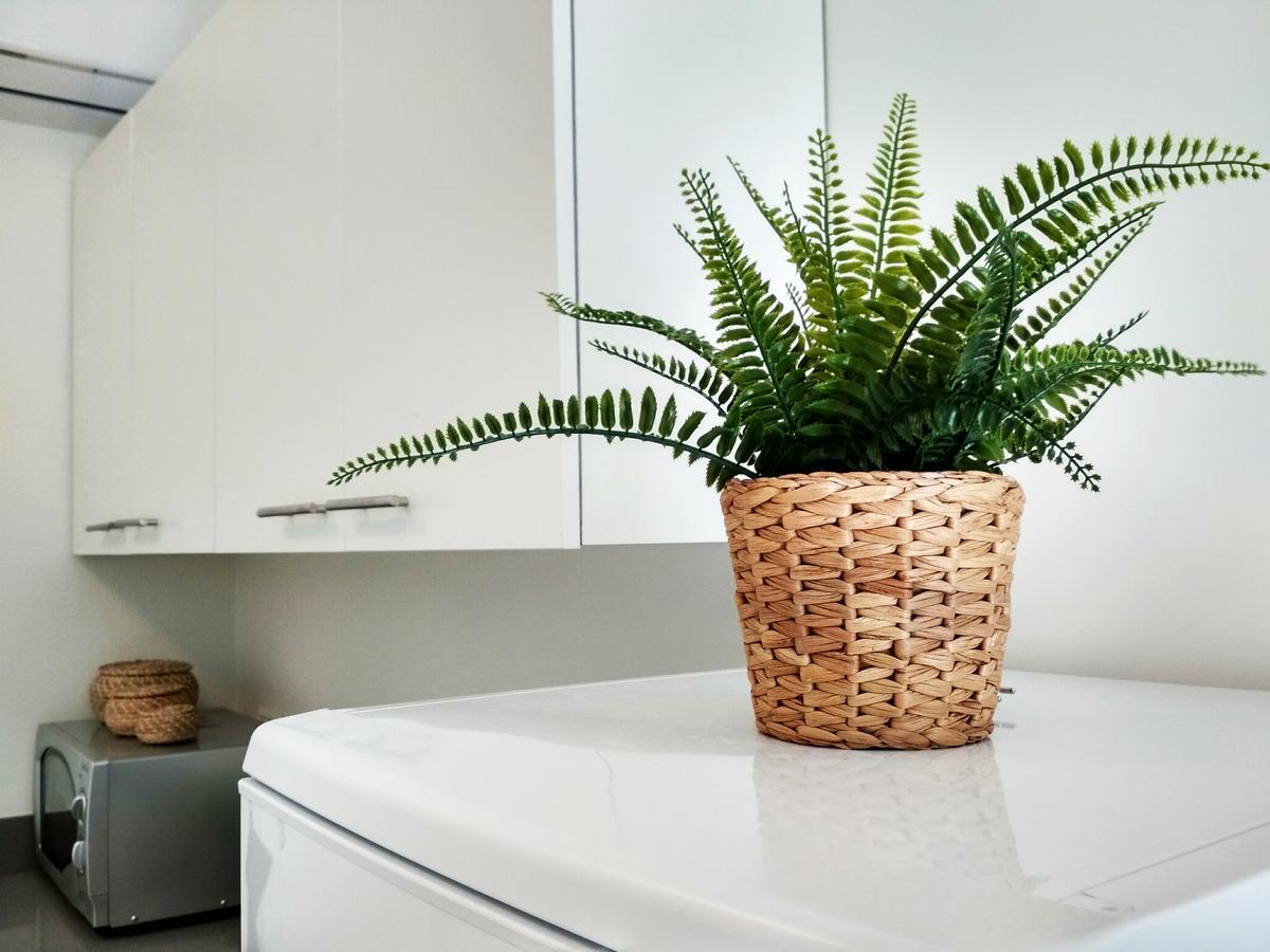 Beautiful Studio On Jerusalem Boulevard Tel Aviv Ngoại thất bức ảnh